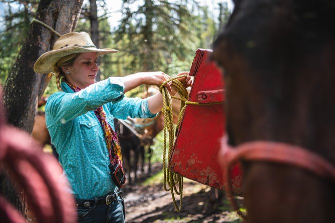 2-Day Sundance Overnight Backcountry Lodge Trip by Horseback - Horses, Guides, and Safety Rules That Actually Protect Your Trip
