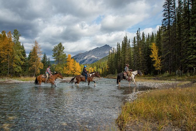 4 Hour Sulphur Mountain Horseback Ride - Bow Falls and the Second Spray River Crossing: When the Ride Gets Real