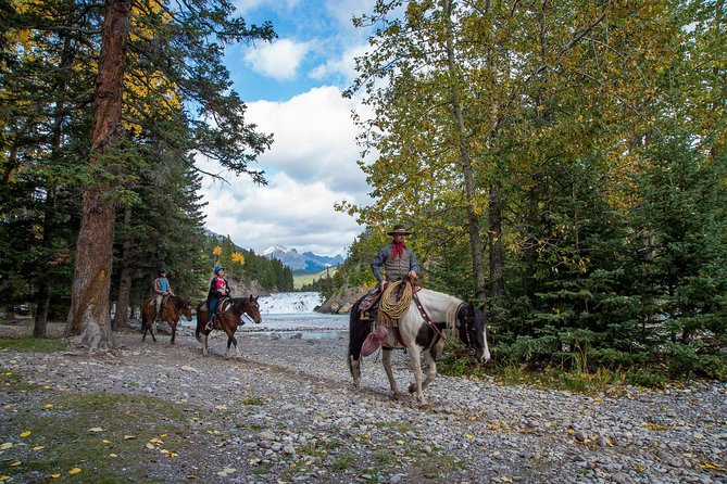 4 Hour Sulphur Mountain Horseback Ride - Pace, Legs, and Expectations: Walk-Rich vs Big Gallops