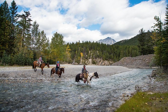 4 Hour Sulphur Mountain Horseback Ride - Who This Ride Fits Best (And Who Should Skip It)