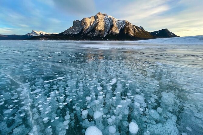 Abraham Ice Bubble/Sunwapta Falls,Snowshoeing,Icefield, Bow&Peyto - Winter highlight: Abraham Lake ice bubbles (and when they happen)
