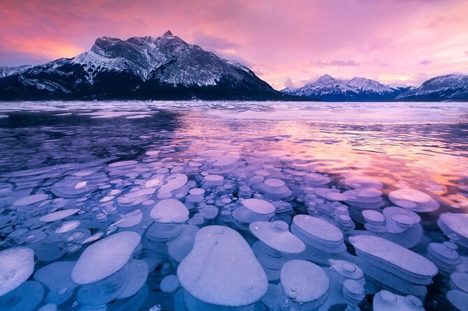 Abraham IceBubble, Peyto, Bow Lake with Snowshoeing& Icewalk - Key highlights you’ll feel from the start