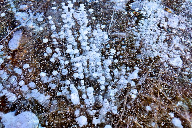 Abraham IceBubble, Peyto, Bow Lake with Snowshoeing& Icewalk - Entering the ice zone: Abraham Lake IceBubble season