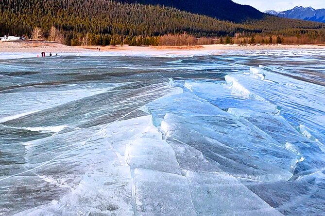 Abraham IceBubble, Peyto, Bow Lake with Snowshoeing& Icewalk - Wildlife and mountain viewpoints along the way
