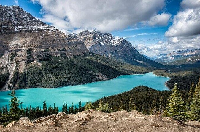 Along Icefields Parkway: Peyto Lake, Bow Lake & Columbia Icefield - Stop 4: Peyto Lake from Bow Summit, the “turquoise wolf head” moment