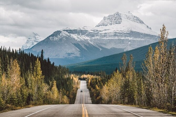 Along Icefields Parkway: Peyto Lake, Bow Lake & Columbia Icefield - Price and value: $125.47 is only a good deal if you understand what’s included
