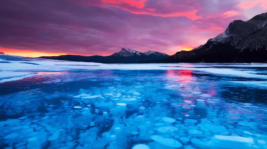Athabasca Falls/Abraham,Sunwapta Falls, Icefield, Peyto Lake - What to bring (so the tour feels easy, not annoying)
