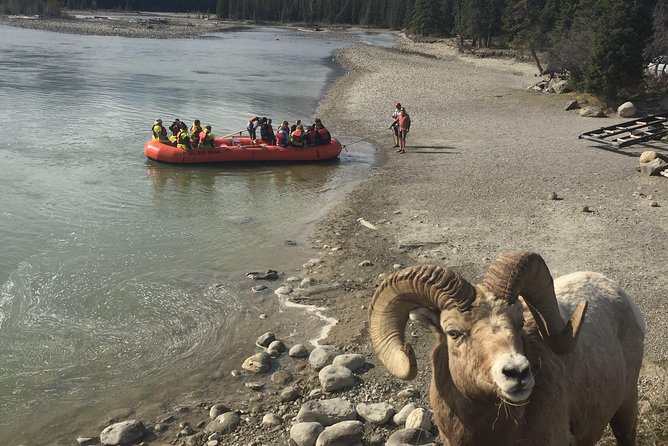 Athabasca River Easy Scenic Raft Trip - What to wear so the trip stays fun, not miserable