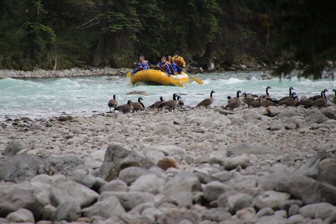 Athabasca River Mile 5 - What You Pay: Is $78.79 Good Value Here?