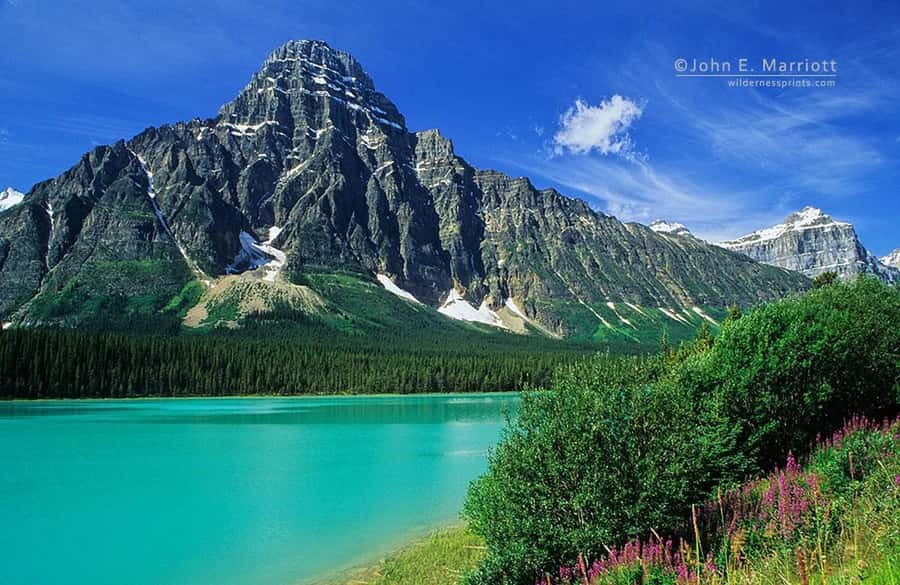 Banff and Jasper National Parks: Tour with Transport - Peyto Lake: why the walk to the viewpoint is worth it