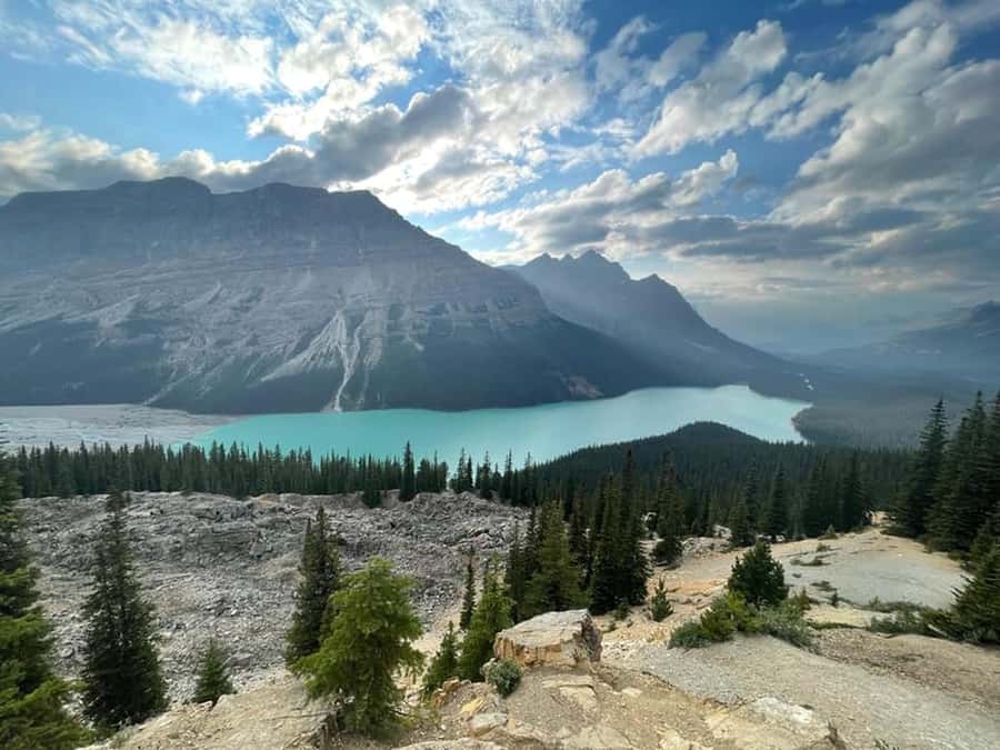 Banff and Jasper National Parks: Tour with Transport - Pickup points: where to meet and why timing matters