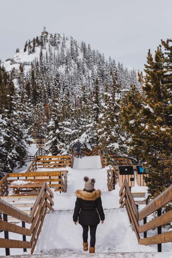Banff: Banff Town, Gondola, and Johnston Canyon Day Tour - A Rocky Mountain day shaped around Banff National Park