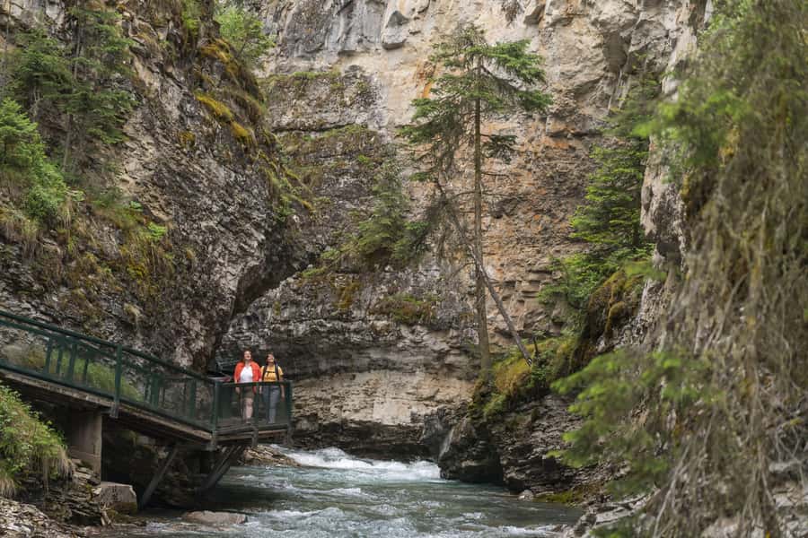 Banff: Banff Town, Gondola, and Johnston Canyon Day Tour - What you pay for: value math behind the $64 price