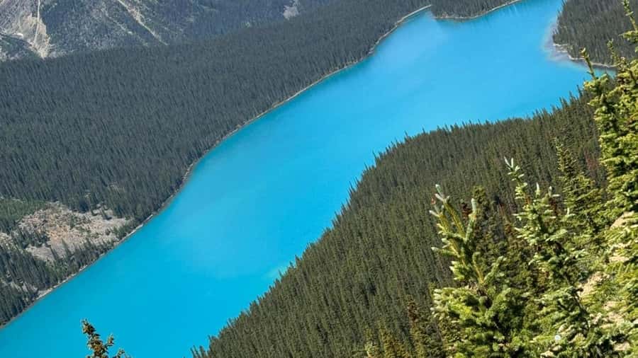 Banff/Calgary/Canmore: Crowfoot Glacier and 5 Lakes Tour - FAQ