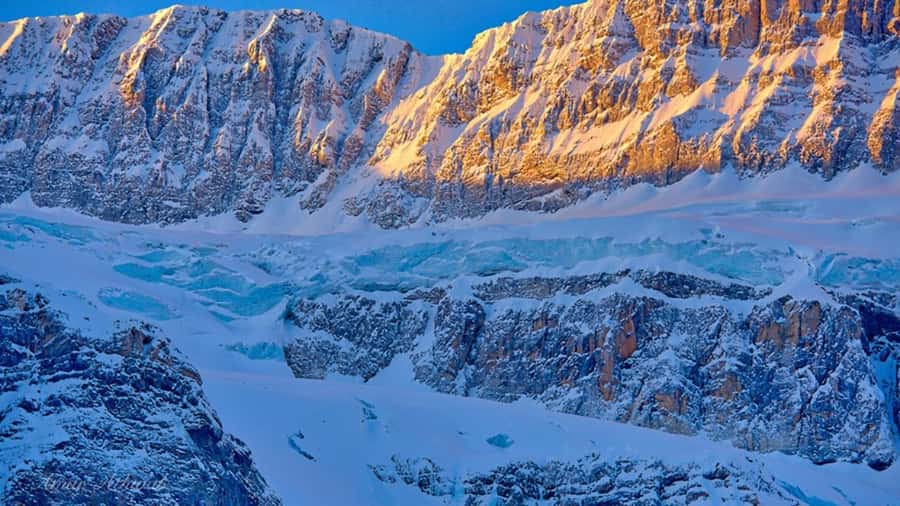 Banff/Calgary/Canmore: Crowfoot Glacier and 5 Lakes Tour - The five-lake run: Peyto, Bow, Herbert, Waterfowl, and the in-between moments
