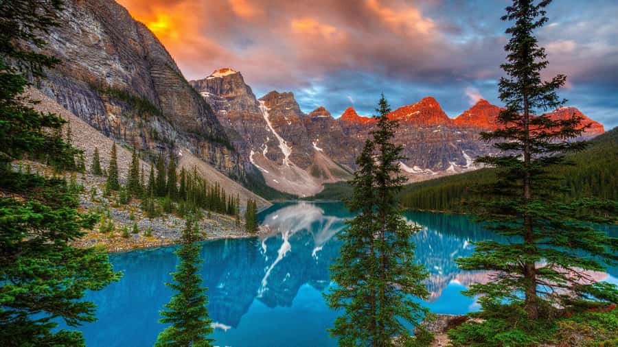 Banff/Canmore: Moraine Lake 1.5h & Lake Louise Half-Day Tour - Key highlights that matter on the ground