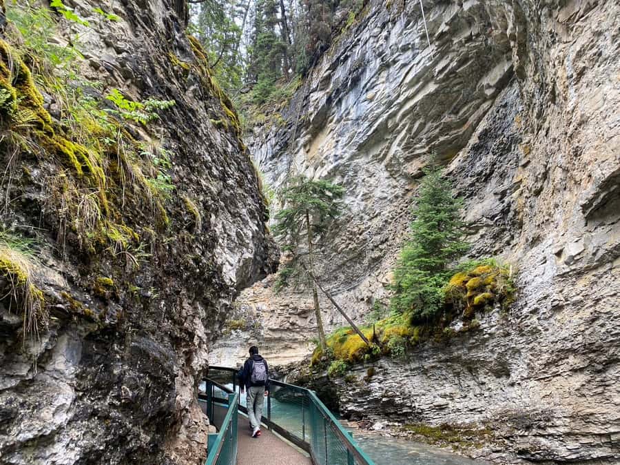 Banff/Canmore: Moraine Lake 1.5h & Lake Louise Half-Day Tour - Price and value for $45: what you’re really paying for