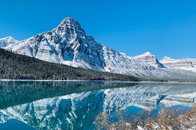 Banff (Canmore) to Calgary Public Shuttle - Price value: $65.85 is mostly about hassle-free timing