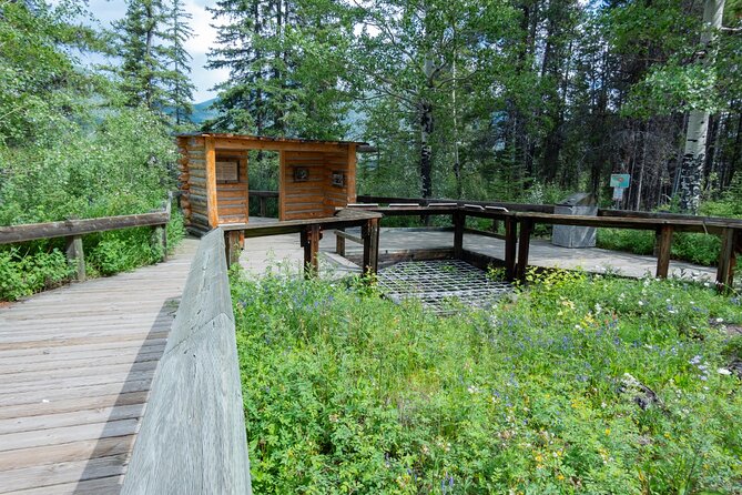 Banff Cave & Hot Springs Audio Walking Tour (Not a Ticket) - Stop-by-stop: Cave and Basin essentials, river views, and Sulphur Mountain