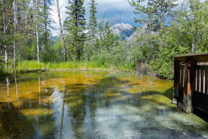 Banff Cave & Hot Springs Audio Walking Tour (Not a Ticket) - The Bow River marsh path: when muddy turns into practical planning