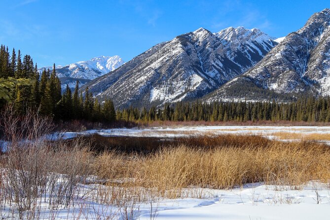 Banff Cave & Hot Springs Audio Walking Tour (Not a Ticket) - Who should book this audio walking tour—and who should skip it