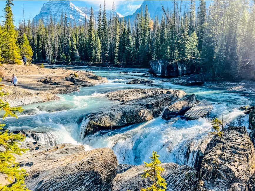 Banff: Emerald Lake, Wapta Falls & Takakkaw Falls Day Trip - What’s included vs. what you must plan yourself