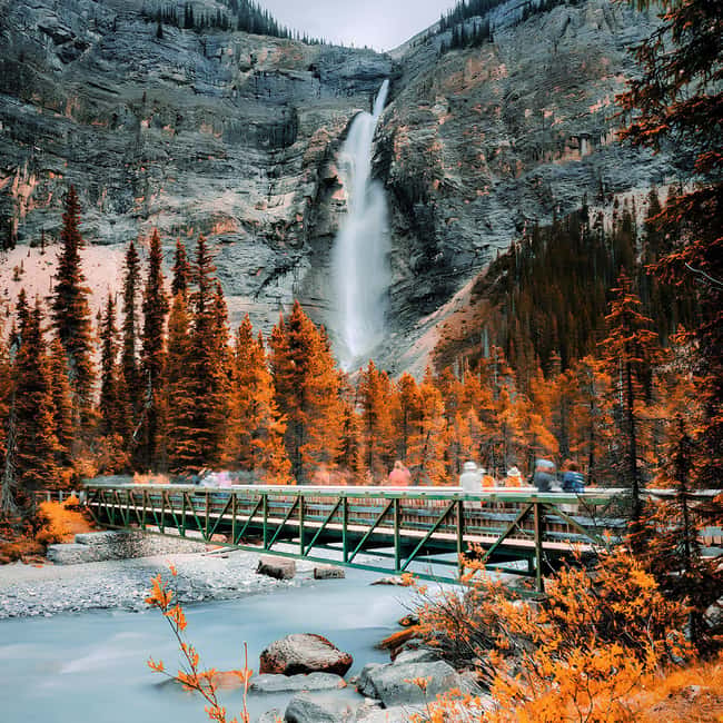 Banff: Emerald Lake, Wapta Falls & Takakkaw Falls Day Trip - Wapta Falls: mini-Niagara, a real hike, and smart route changes
