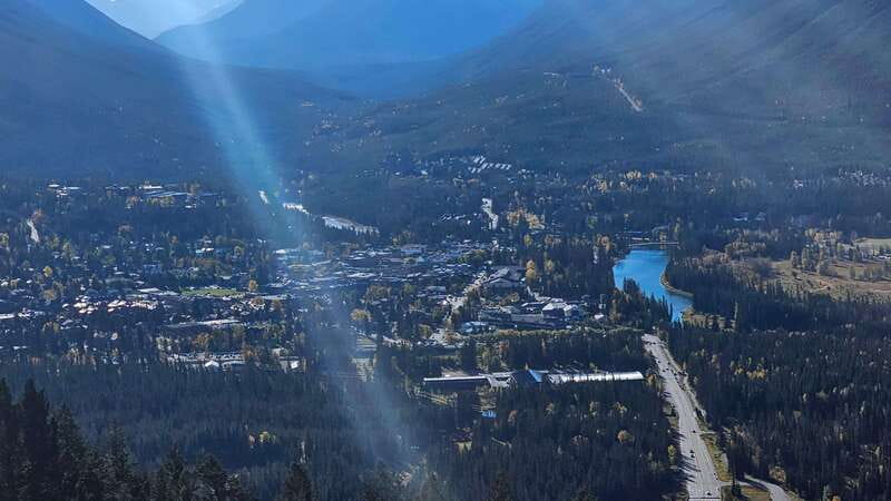 Banff: Evening Wildlife Safari Guided Tour - Possible Drawbacks (So You Can Choose Confidently)