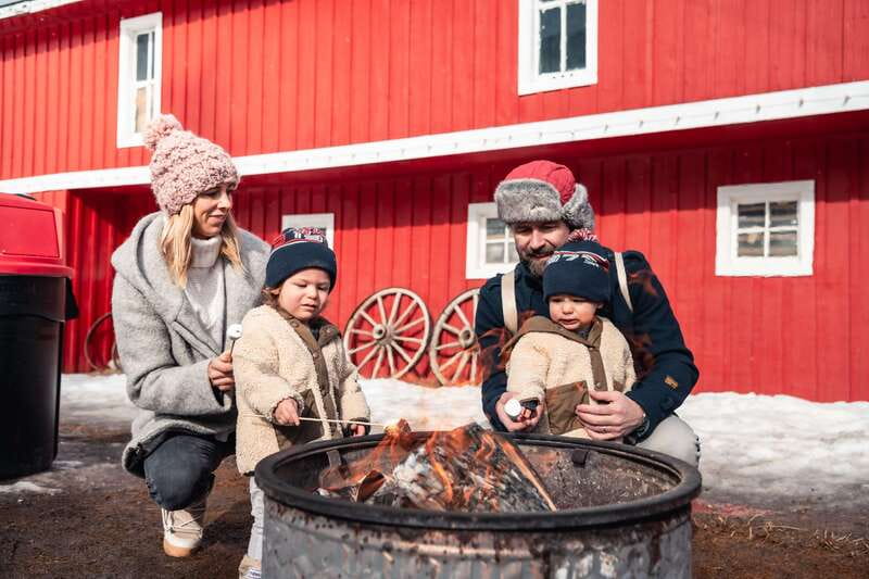 Banff: Family Friendly Horse-Drawn Sleigh Ride - The Route Through Banff: Mountain Meadows and Famous Peaks