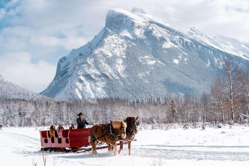 Banff: Family Friendly Horse-Drawn Sleigh Ride - Wildlife Spotting: What You’ll Try to See and How Guides Help