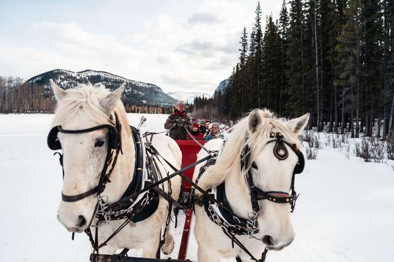 Banff: Family Friendly Horse-Drawn Sleigh Ride - The Campfire Warm-Up: Hot Drinks, Fire Pits, and a Slow Finish