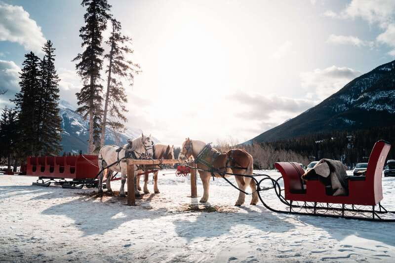Banff: Family Friendly Horse-Drawn Sleigh Ride - Price and Value: Is $39 Worth It in Banff Winter?