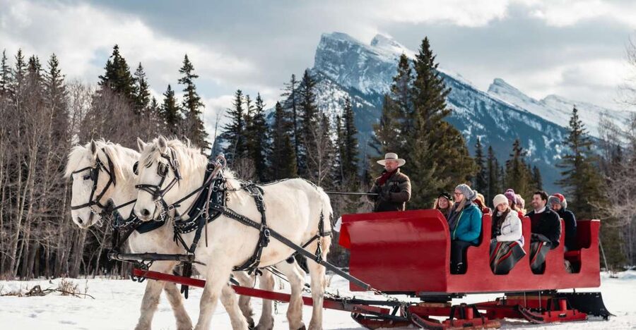 Banff: Family Friendly Horse-Drawn Sleigh Ride - Who Should Book This Banff Horse-Drawn Sleigh Ride