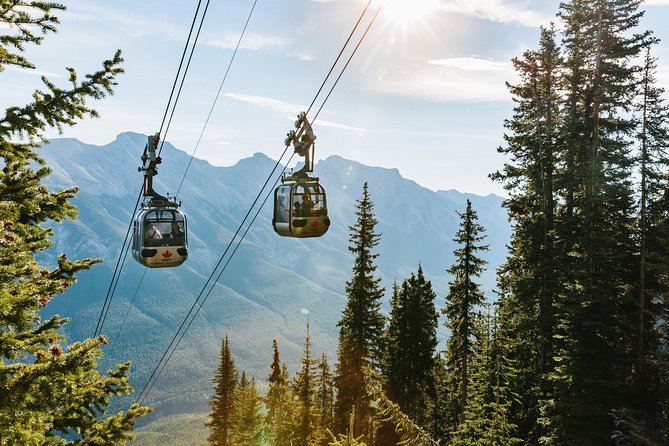 Banff Gondola Ride Admission - Riding Up in a 4-Person Gondola Cabin: Views you can actually enjoy