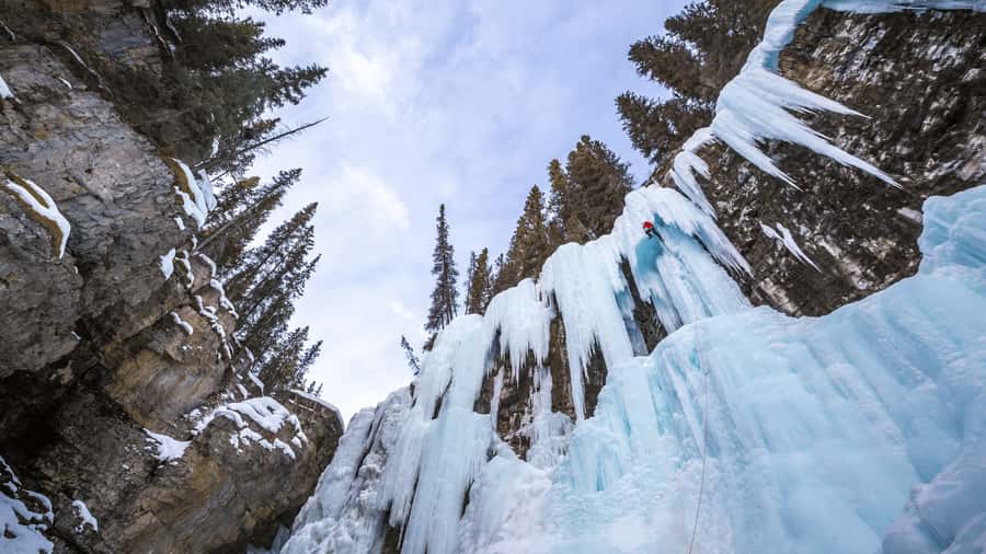 Banff: Gondola Ticket and Johnston Canyon Hiking Tour - Johnston Canyon on a Guided Pace: Catwalks, Lower and Upper Falls