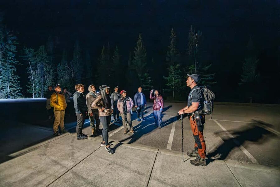 Banff: Guided Sunset and Stargazing Tour - Wildlife at night: seeing more, without taking risks