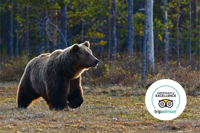 Banff Highlights & Wildlife | Award-Winning Small Group Adventure - Your group day in plain terms: how the route gets set
