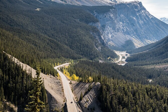 Banff Icefield Parkway Private Full Day Tour - Private guide energy: why the driver matters more than you think