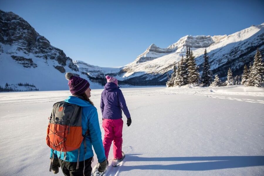 Banff: Icefields Parkway & Abraham Lake Ice Bubbles Tour - A Winter Day on the Icefields Parkway: What Makes This Trip Work