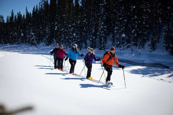 Banff, Lake Louise and Johnston Canyon - Winter Wonderland Tour - Lake Louise on ice: skating, snowshoeing, and lakeside exploring
