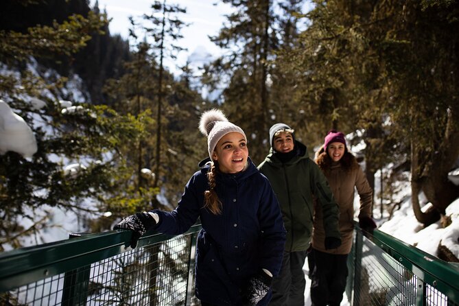 Banff, Lake Louise and Johnston Canyon - Winter Wonderland Tour - Lunch in Lake Louise Village without getting stuck