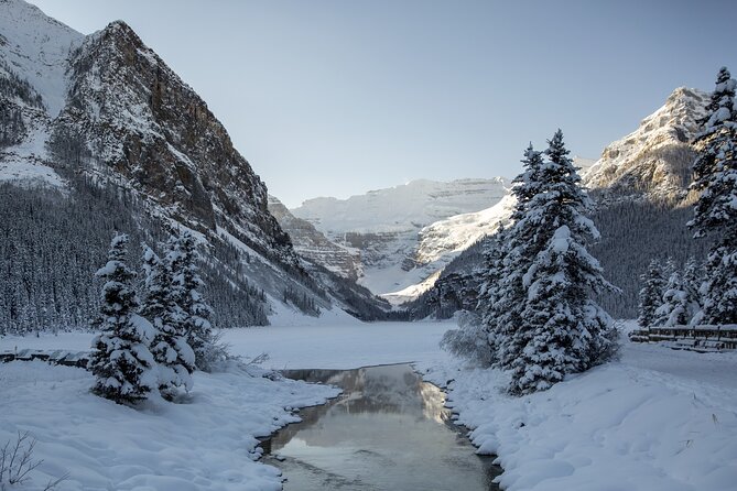 Banff, Lake Louise and Johnston Canyon - Winter Wonderland Tour - Bow Valley Parkway: backroad views and wildlife watch