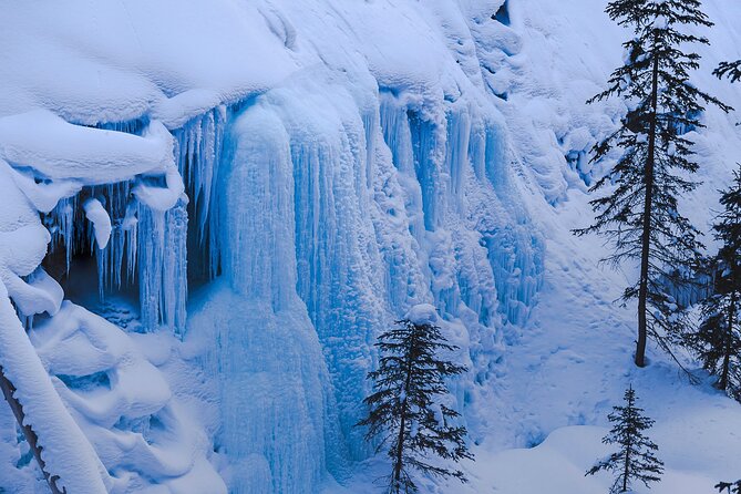 Banff, Lake Louise and Johnston Canyon - Winter Wonderland Tour - How the day ends in Banff with surprise stops