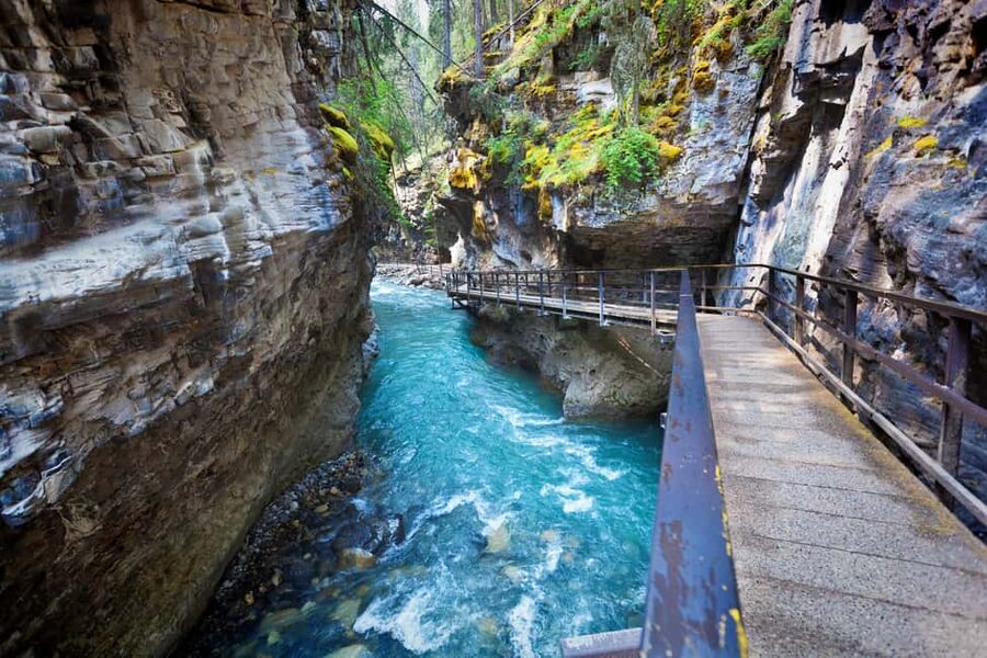 Banff: Lake Louise,Emerald & Johnston Canyon+5More - A Full-Day Banff and Yoho Ride That Actually Makes Sense