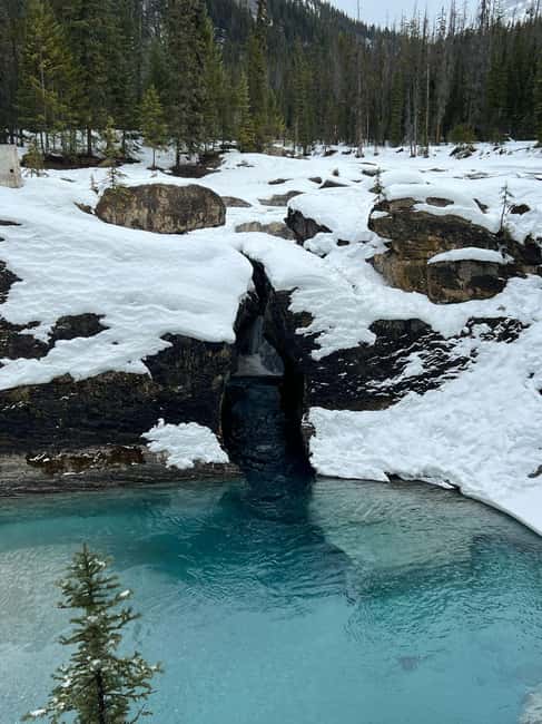 Banff: Lake Louise, Emerald, Moraine Lake & Johnston Canyon - The $45 value: what you get for the money