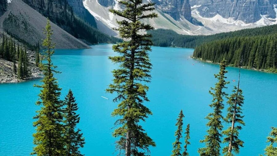 Banff: Lake Louise, Moraine, Emerald & Johnston Canyon Tour - Lake Louise Ski Resort break: a practical reset in the middle of the day