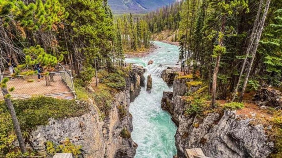 Banff: Lake Louise, Moraine, Emerald & Johnston Canyon Tour - Emerald Lake and Natural Bridge: good variety, not just repeat scenery