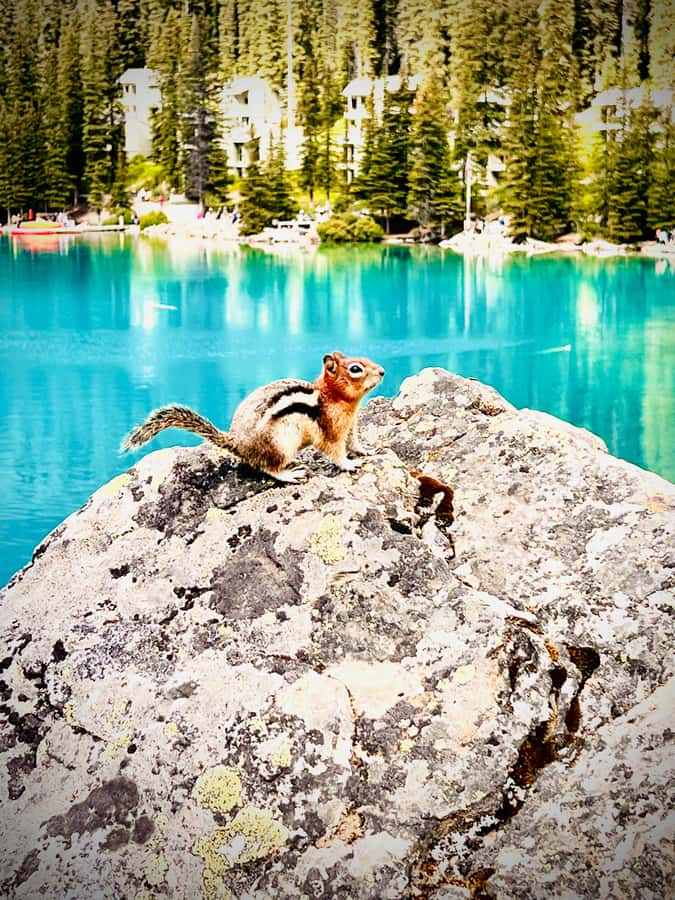 Banff: Lake Louise, Moraine, Emerald Lake & Canyon Day Trip - What to bring, and who should skip this tour