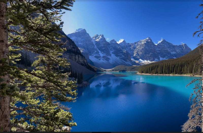 Banff - Lake Louise Moraine Lake and Icefields Parkway Tour - Icefields Parkway Views: Why This Route Feels Worth the Long Day