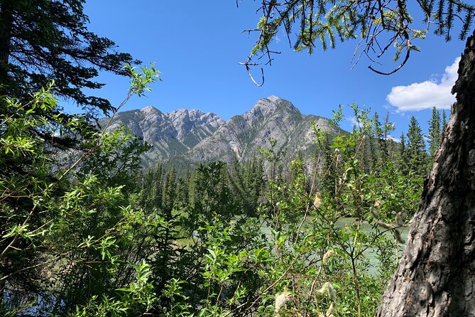 Banff LOST TOWNS and Untold Stories! 2hr Walk + Transportation - Key takeaways before you book